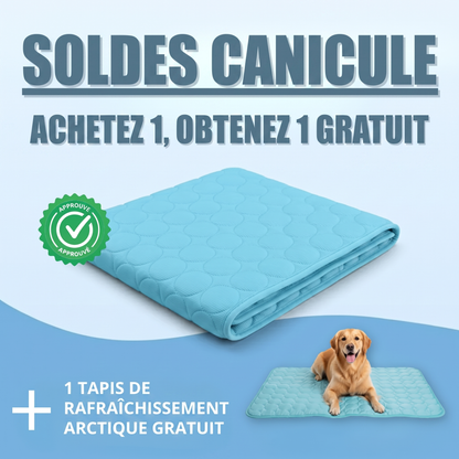 Tapis de refroidissement pour chien Vivrel™