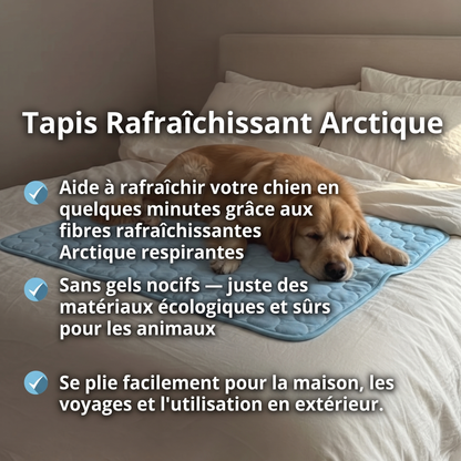 Tapis de refroidissement pour chien Vivrel™