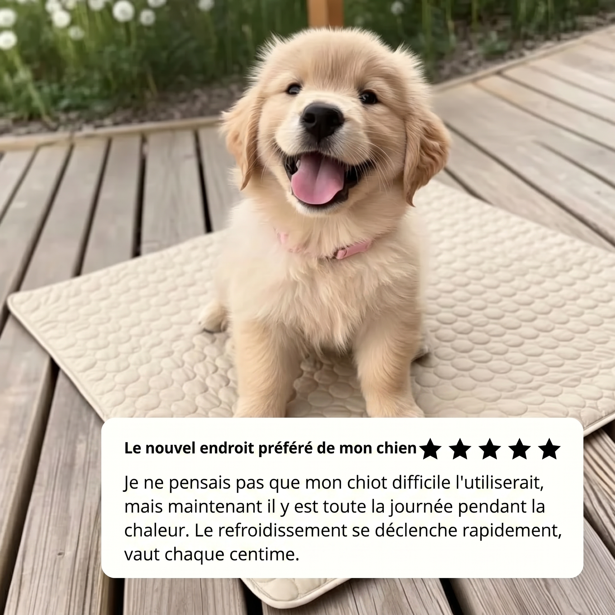 Tapis de refroidissement pour chien Vivrel™