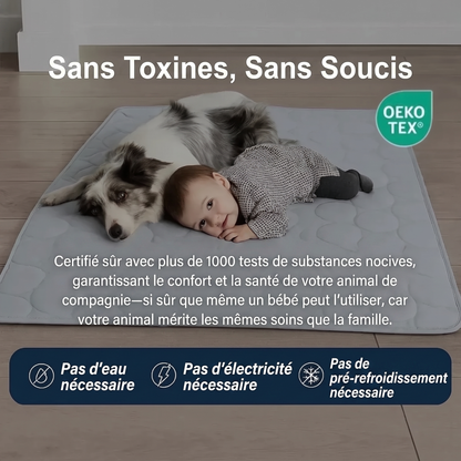 Tapis de refroidissement pour chien Vivrel™