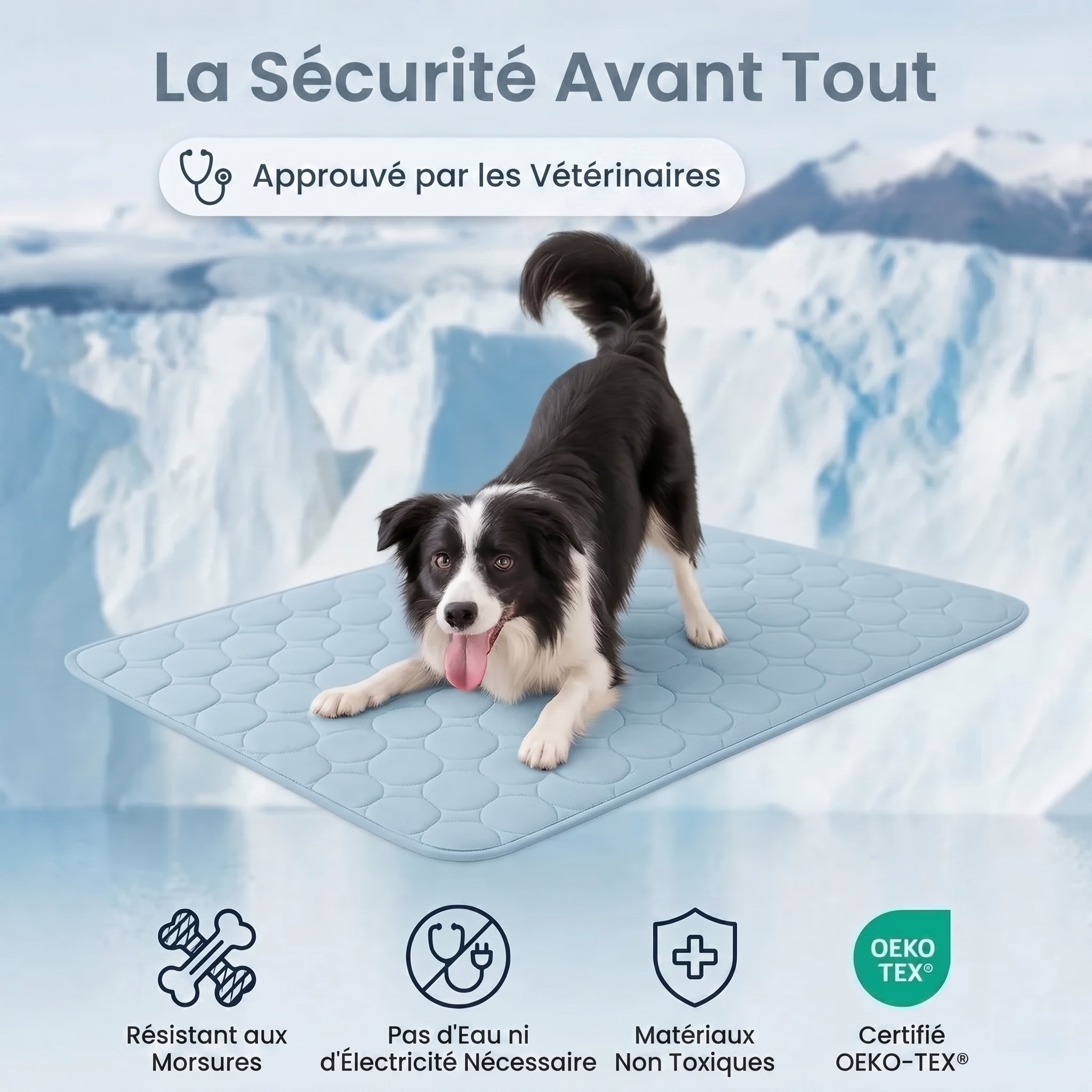 Tapis de refroidissement pour chien Vivrel™
