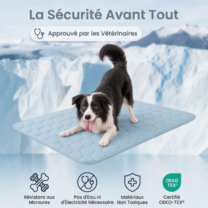 Tapis de refroidissement pour chien Vivrel™