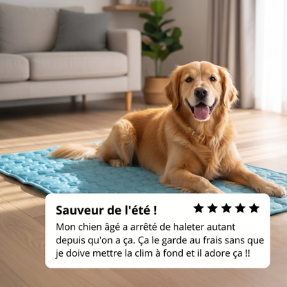 Tapis de refroidissement pour chien Vivrel™