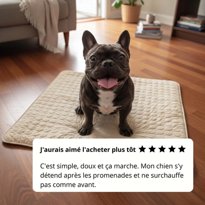 Tapis de refroidissement pour chien Vivrel™