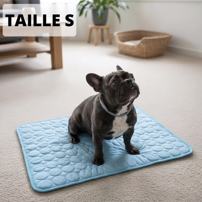Tapis de refroidissement pour chien Vivrel™