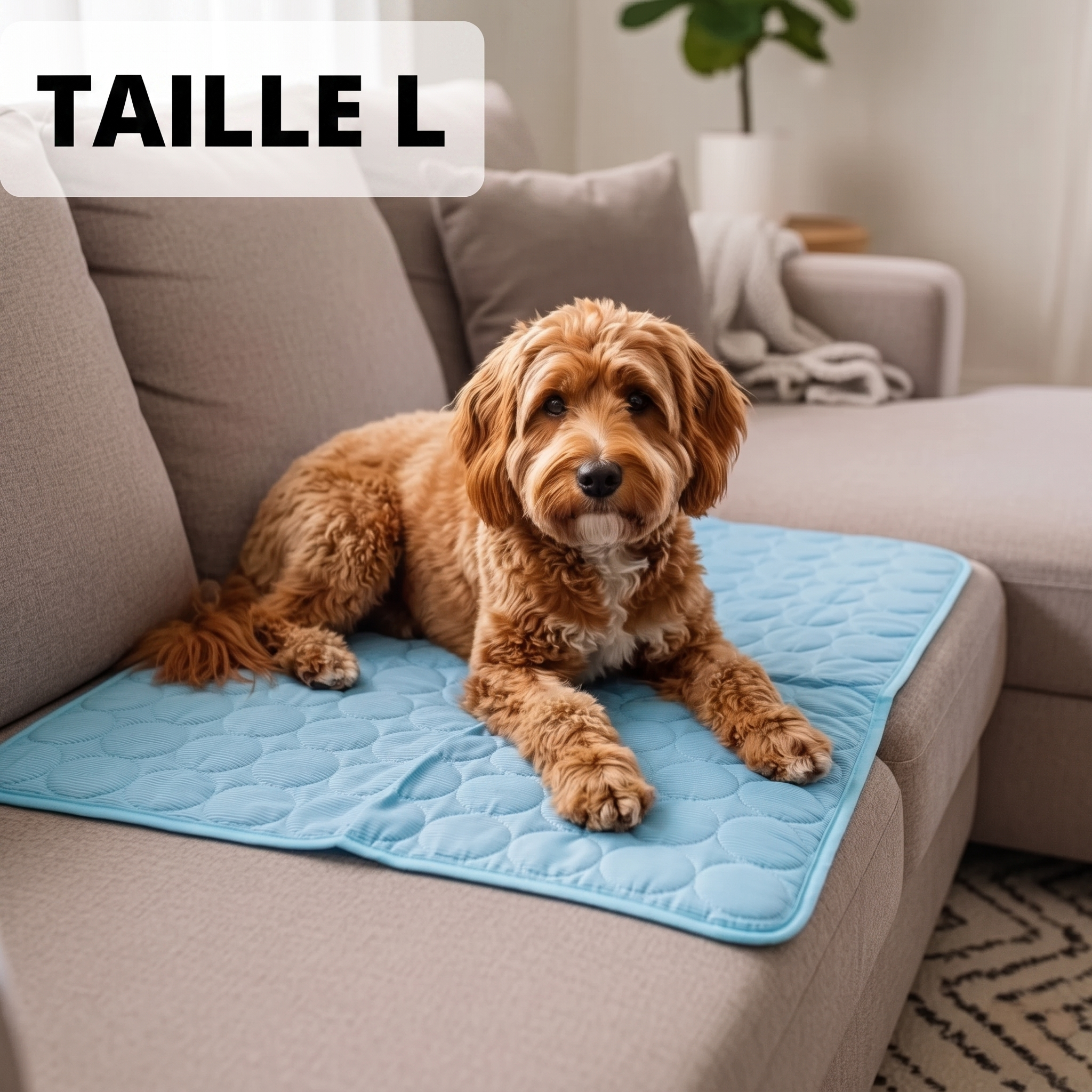 Tapis de refroidissement pour chien Vivrel™