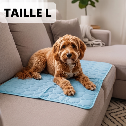 Tapis de refroidissement pour chien Vivrel™