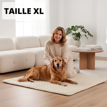 Tapis de refroidissement pour chien Vivrel™