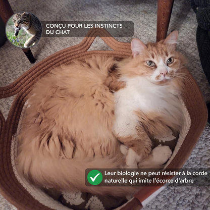Panier Stimulicat - Vivrel™