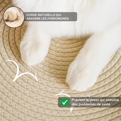 Panier Stimulicat - Vivrel™