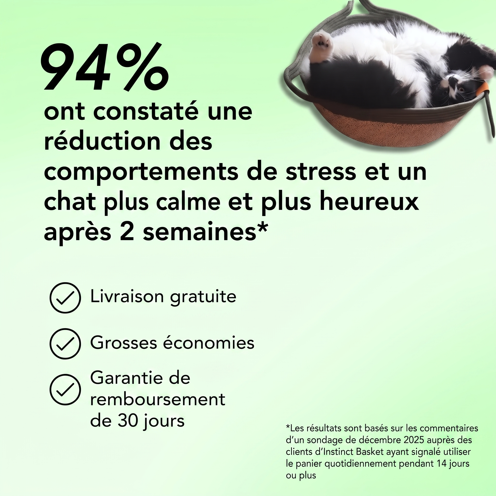 Panier Stimulicat - Vivrel™