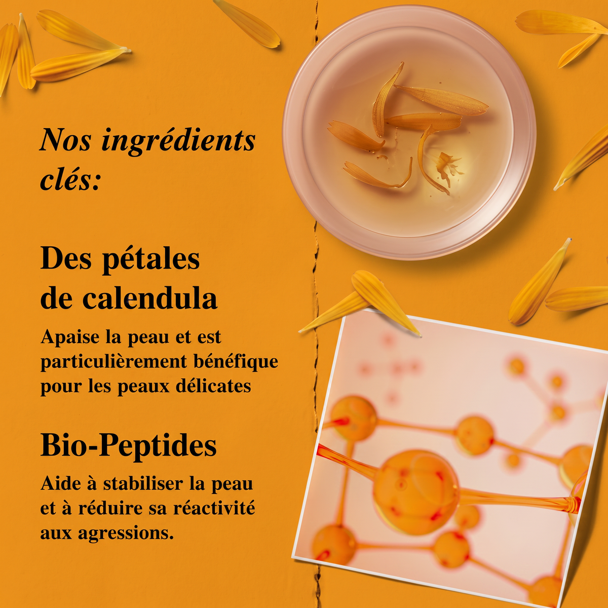 Tonique à l'extrait de Calendula - Vivrel