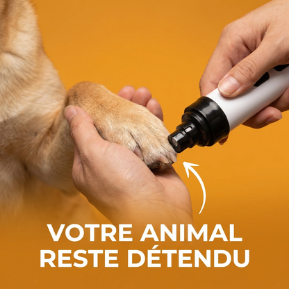 Lime Silencieuse - Vivrel